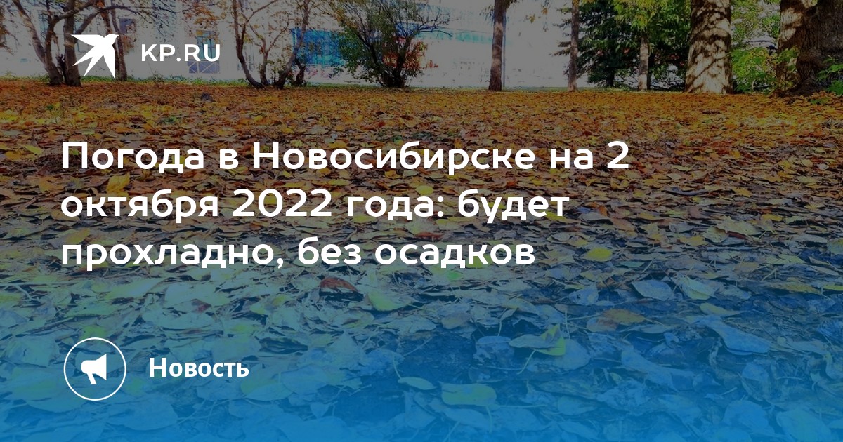 погода на 2 июля 2022 спб