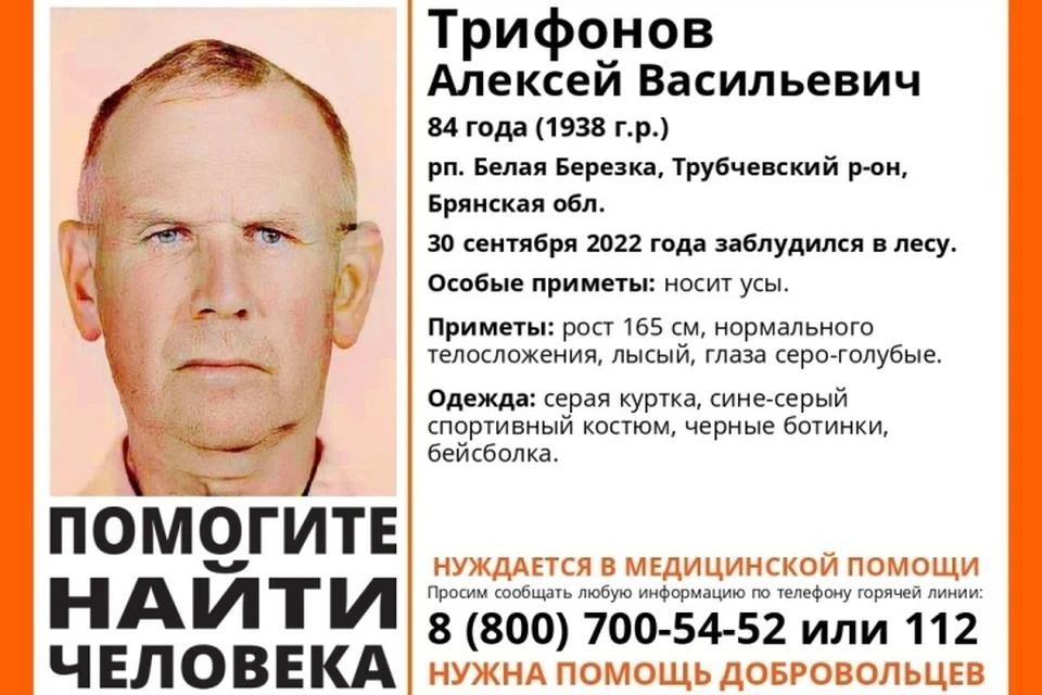 Фото: "Лиза Алерт", vk.com.