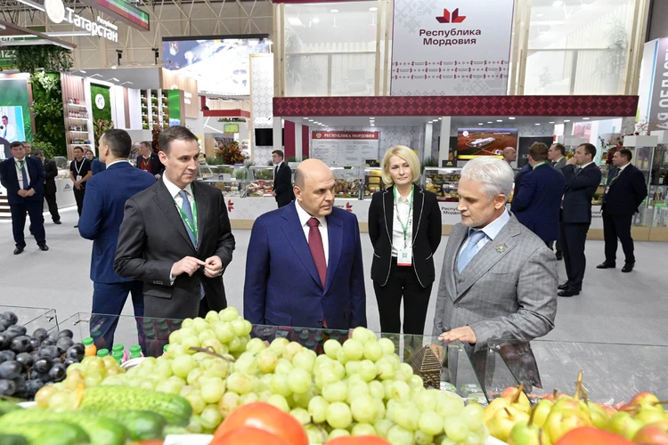 Мишустин: В России в этом году будет рекордный урожай фруктов