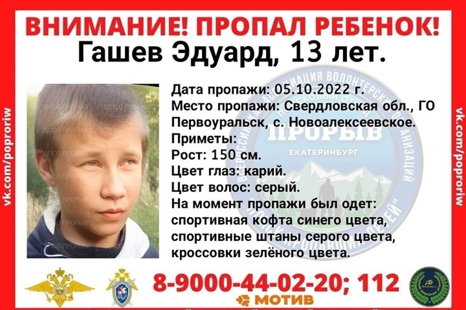 Мальчика разыскивают полицейские и волонтеры Фото: ПСО Прорыв