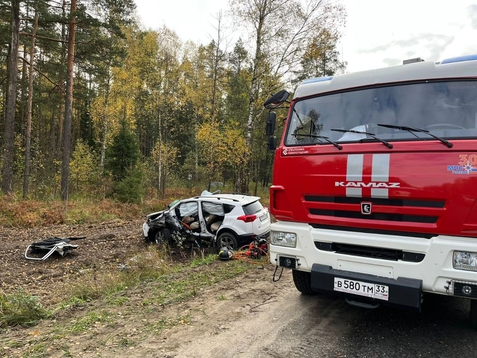 Фото: ГУ МЧС России по Владимирской области
