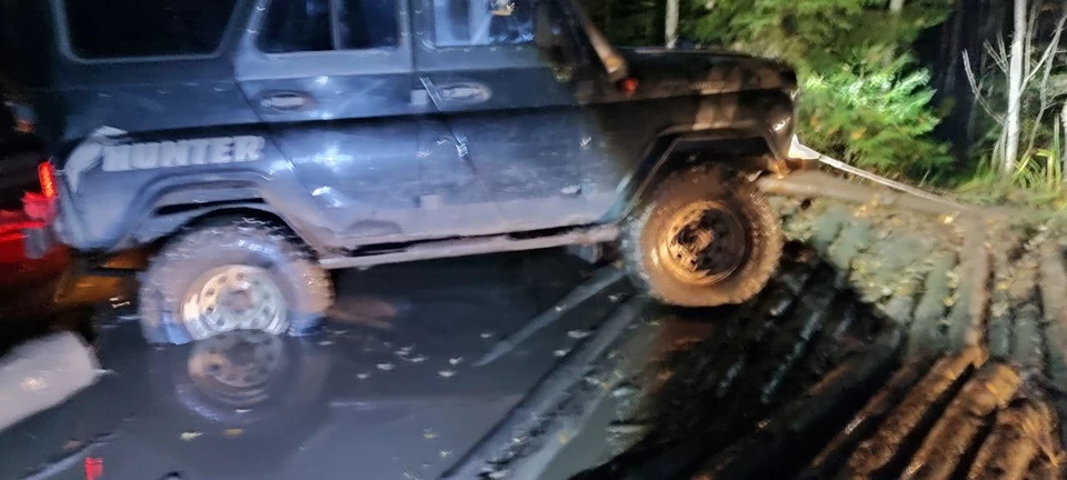 Фото: ДПСО "Лиза Алерт" Костромской области