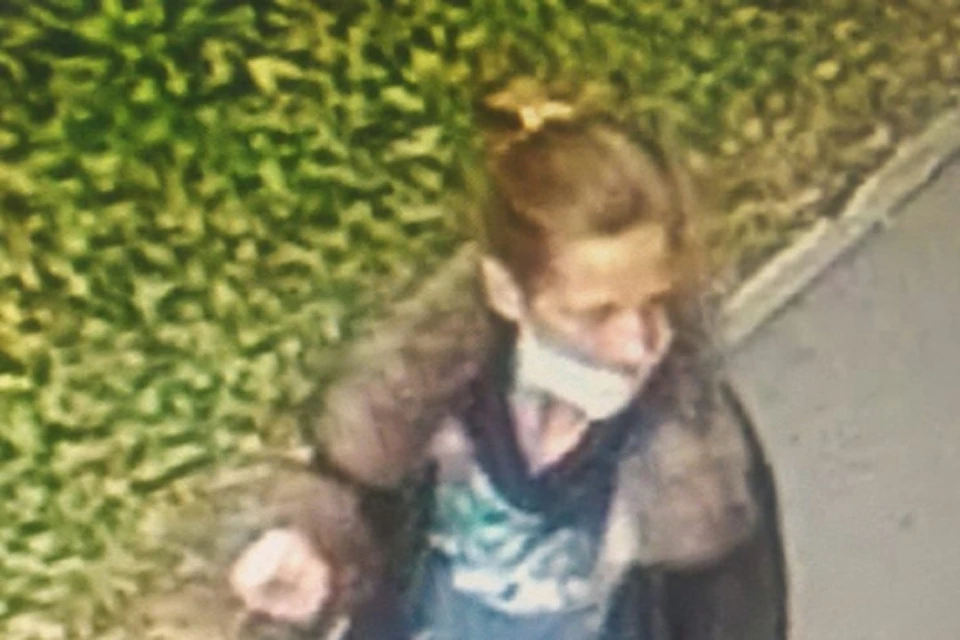 Полицейские поймали женщину, снявшую с девочки золотые серёжки в парке. Фото: мвд 54.