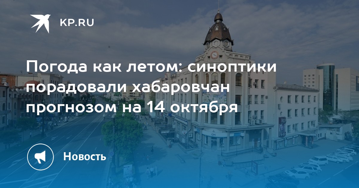 Самая точная погода в хабаровске. Погода в Хабаровске на 10 дней 2022. Гидрометцентр прогнозирует погоду. Хабаровск температура зимой цу.