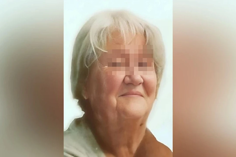 В Новосибирске завершились поиски 82-летней пенсионерки. Фото: ЛизаАлерт НСО