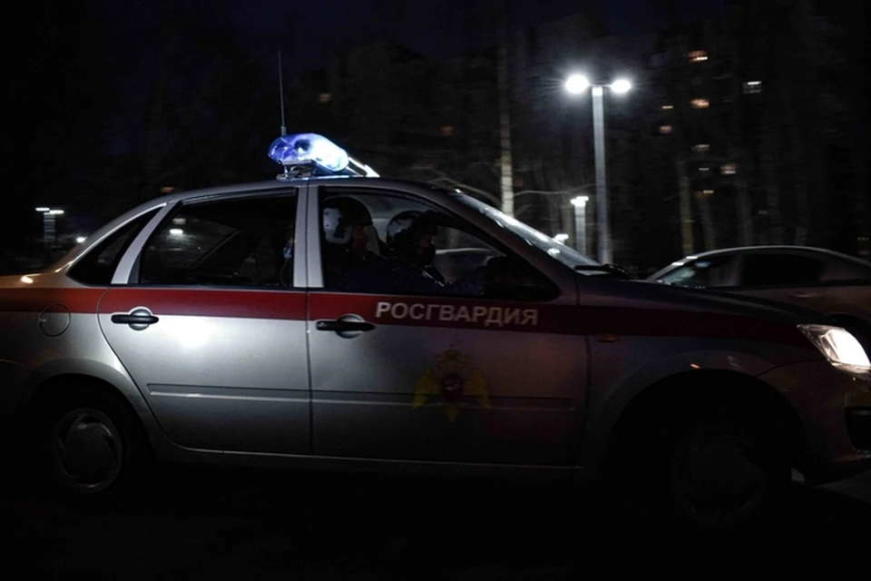 В настоящее время устанавливается их причастность к ранее совершенным аналогичным преступлениям. Фото:16.rosguard.gov.ru