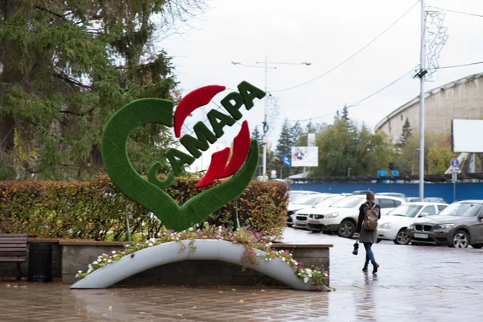 Инвестор сможет купить самарский завод