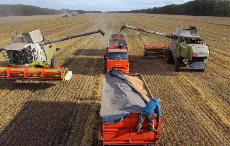 В Минсельхозе заявили, что собрано 147,5 млн тонн зерна в 2022 году