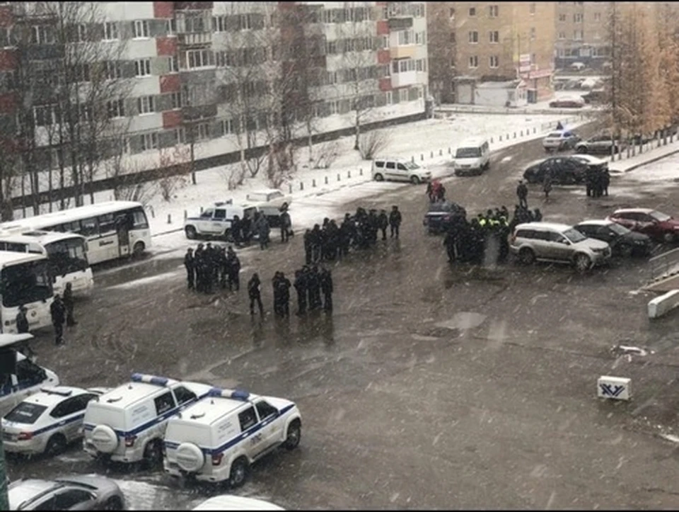 Фото: соцсети