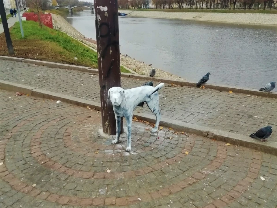 Фото Олега Степанова