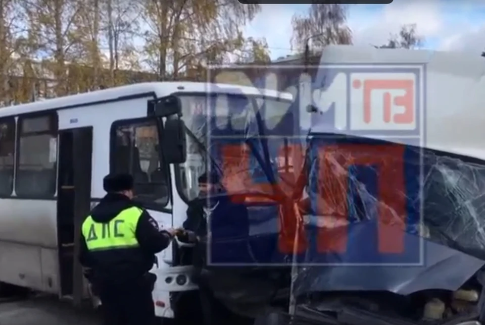 Фото: ДимТВ