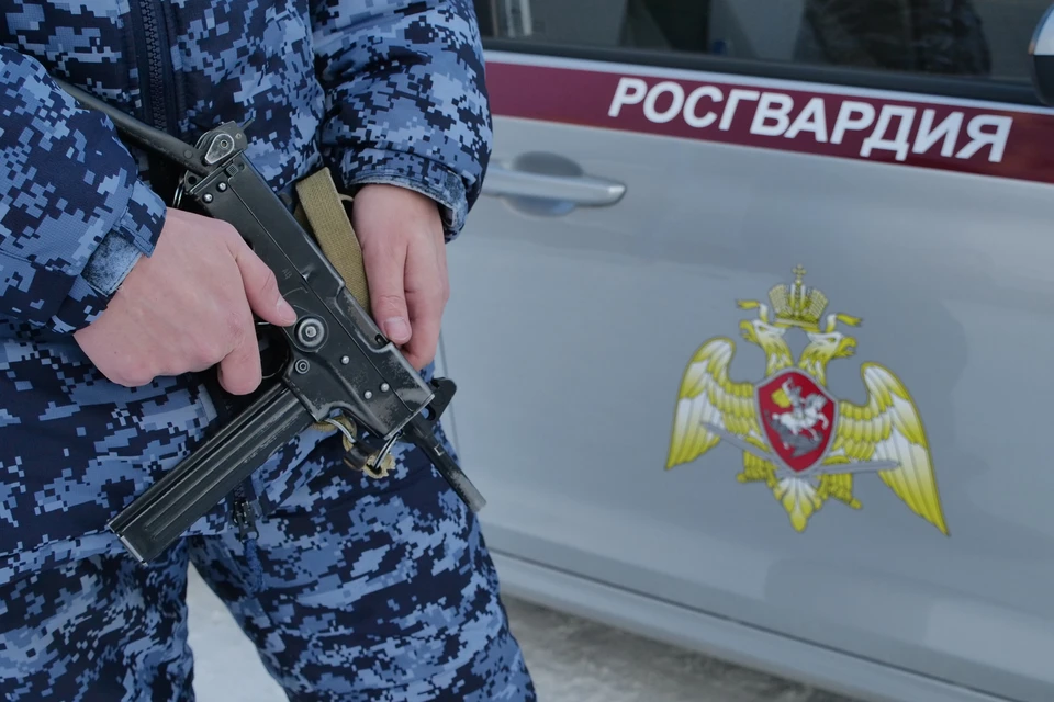 Прибывшие росгвардейцы задержали мужчину остановили мужчину Фото: Светлана МАКОВЕЕВА