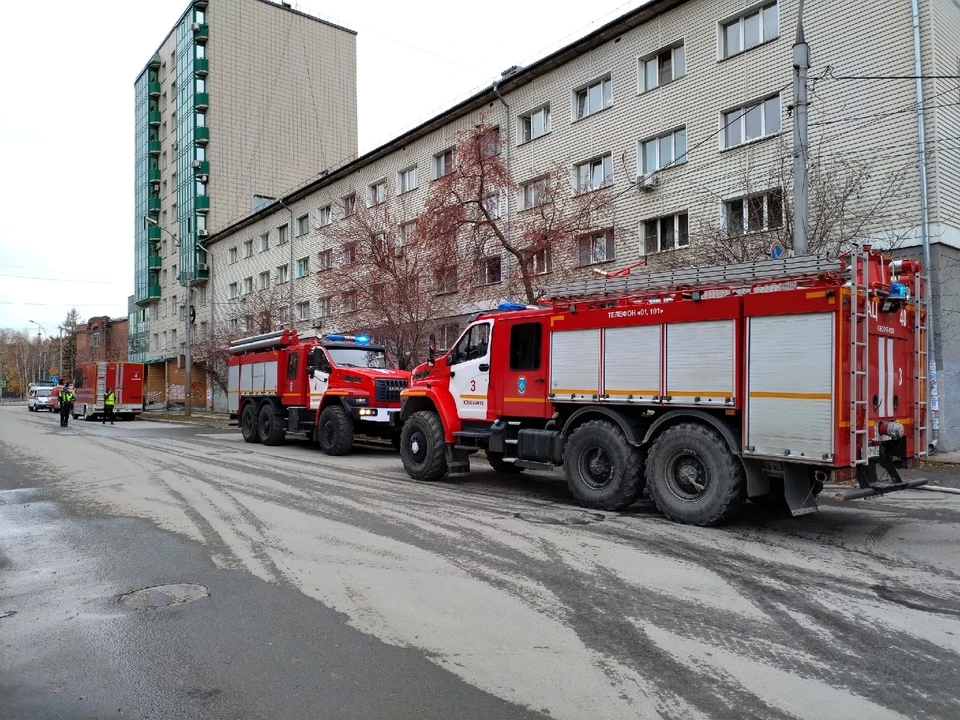 В четверттый раз в этом году в Томской области прошли сутки без пожаров. Фото: Густаво Зырянов