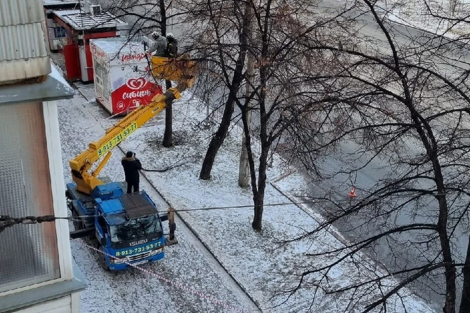 Возле остановки «Стадион Сибирь» в Новосибирске начали сносить липы - KP.RU