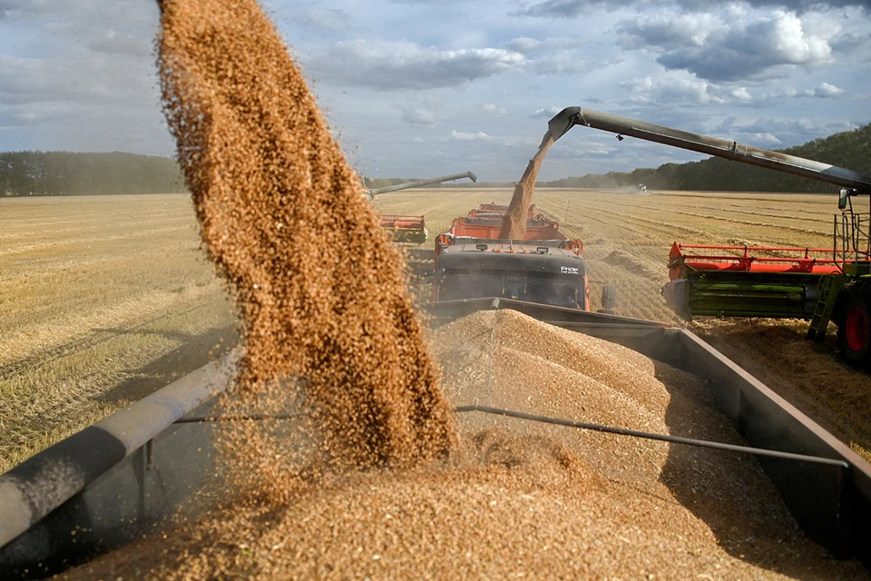 The United States, with its sanctions, is aiming not only at Russia, but also subjugating Europe.  The grain crisis is just another stage