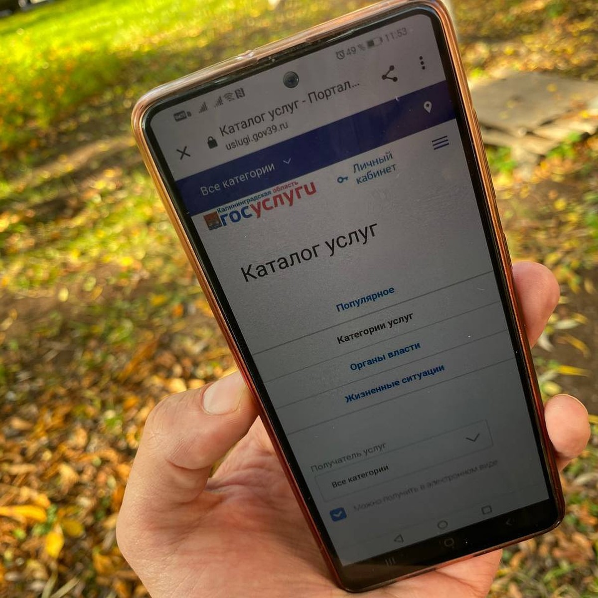 Калининградский «Ростелеком» адаптировал региональный портал госуслуг для  работы с мобильных устройств - KP.RU