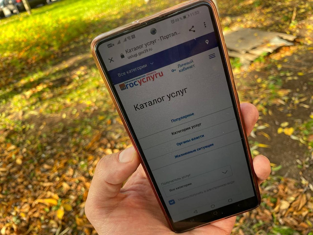 Калининградский «Ростелеком» адаптировал региональный портал госуслуг для  работы с мобильных устройств - KP.RU