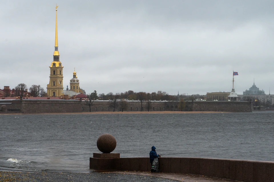 14 ноября петербург. Питер в ноябре. Питер ноябрь солнце. Белые ночи в Санкт-Петербурге 2022. Климат Питера.