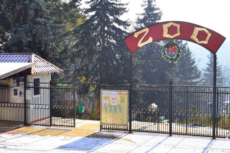 Кишиневский Зоопарк, в зимний период понижает стоимость билетов. Фото:соцсети