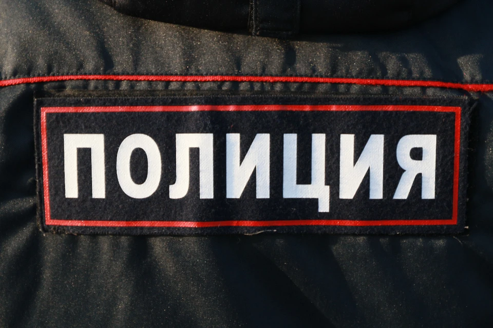 Ранее девушка не была фигуранткой уголовных дел