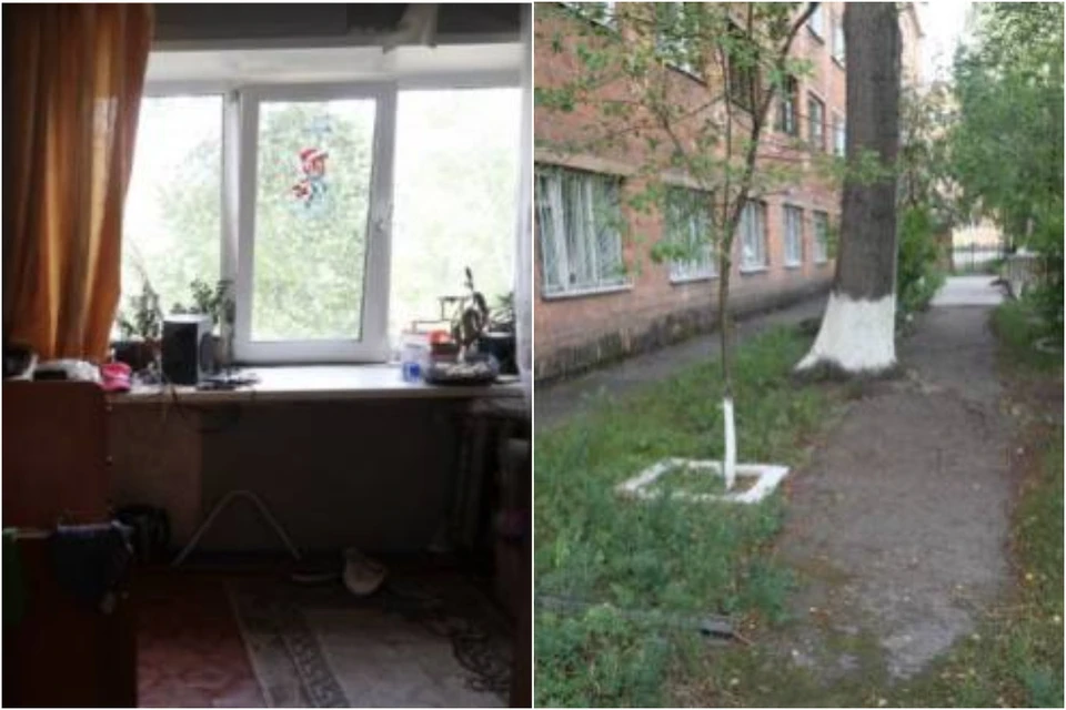 Фото: СК по Красноярскому краю
