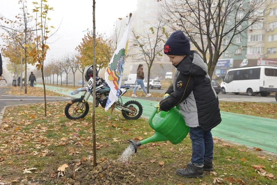 12 ноября в Кишиневе будет дан старт кампании по посадке деревьев.