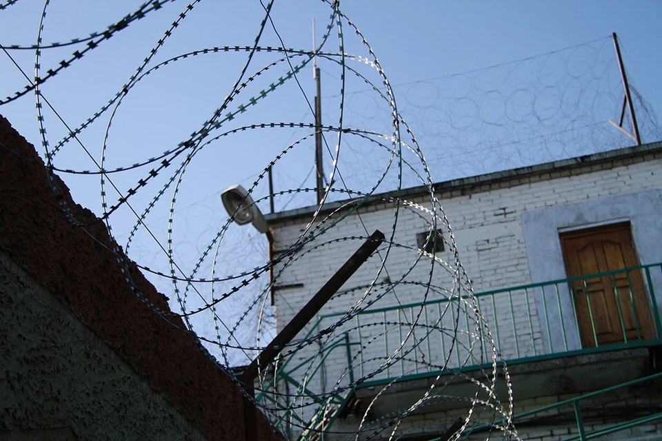 Если против должника заведут уголовное дело, то он может отправиться в колонию