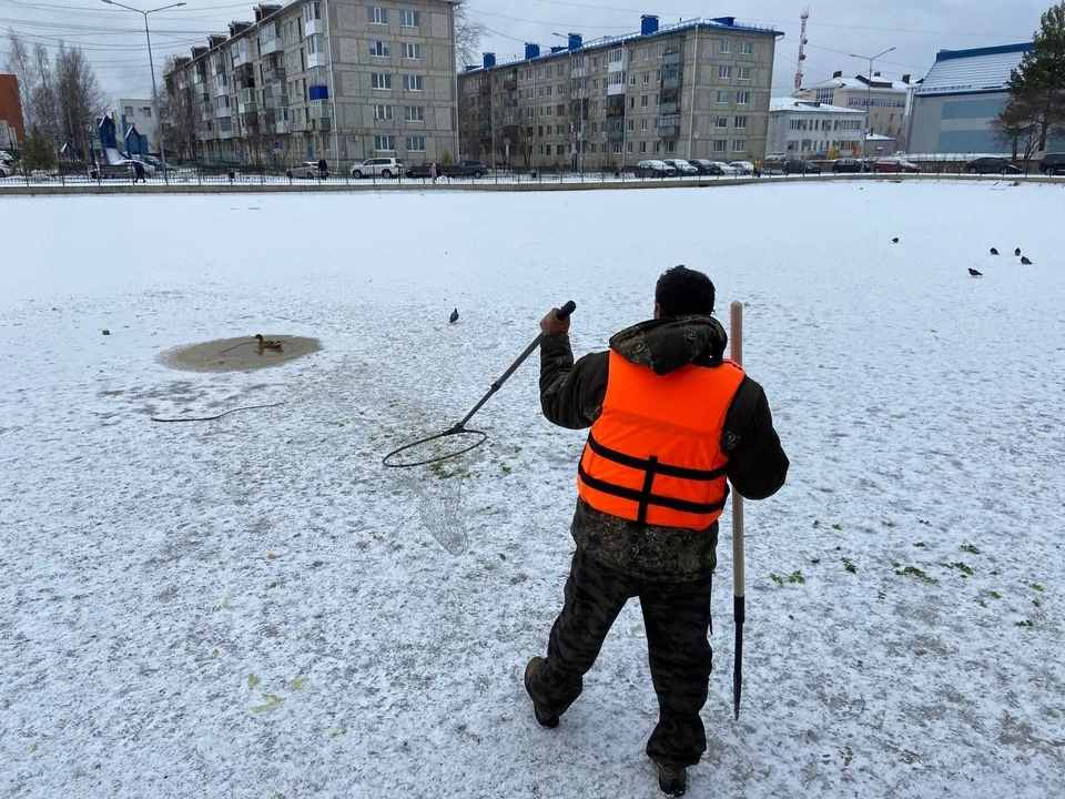 Фото: соцсети