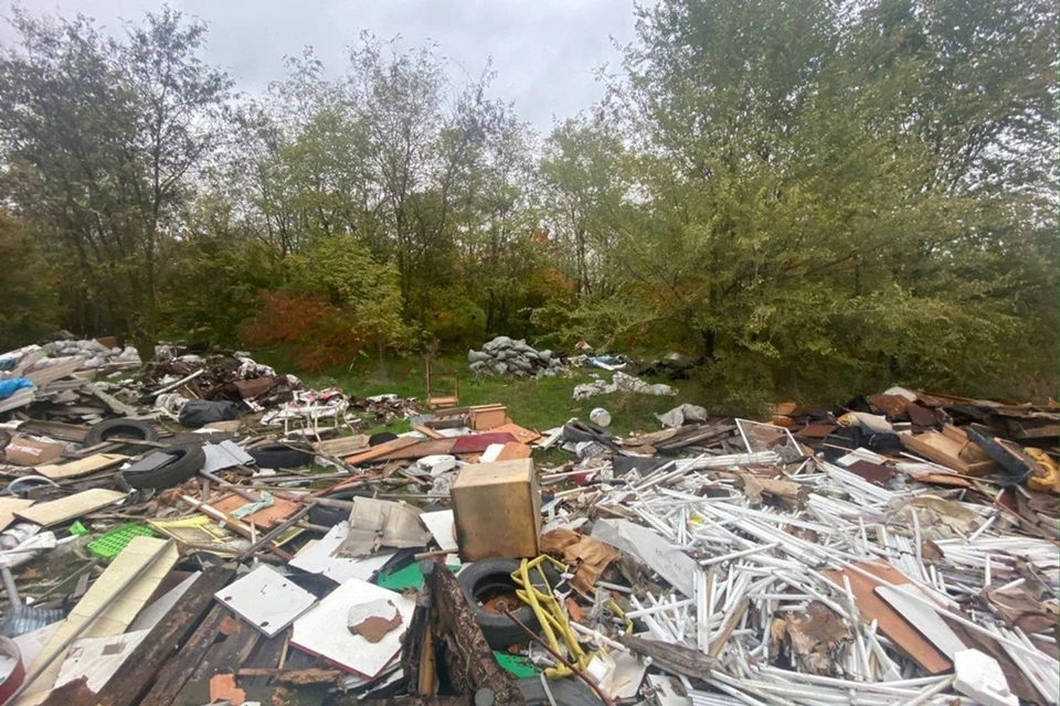 Свалку нашли в городском лесу. Фото: ГК "Чистый город".