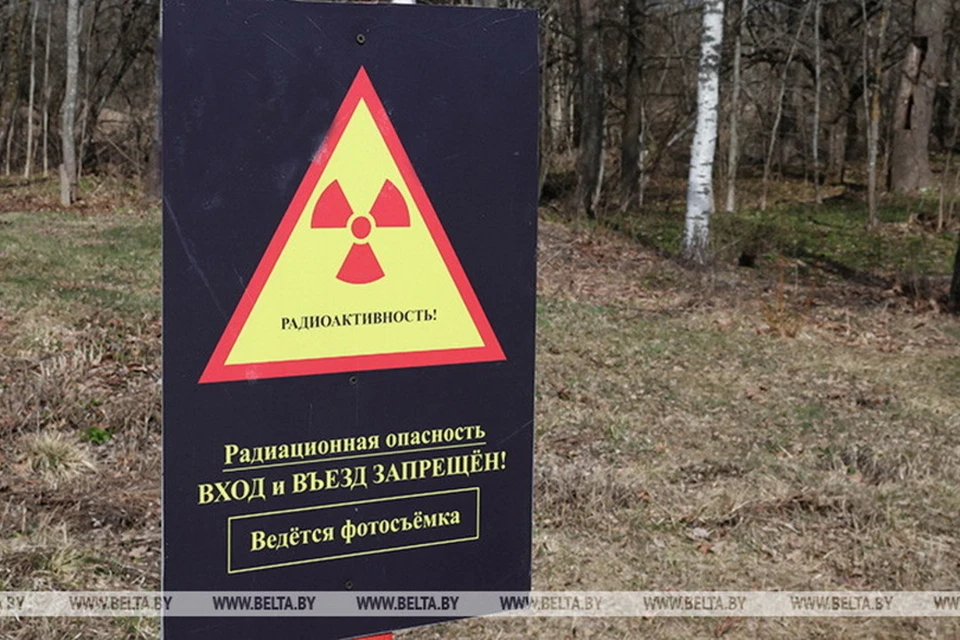 Стало известно, что Департамент по ликвидации последствий катастрофы на ЧАЭС упраздняется в Беларуси. Фото: БелТА