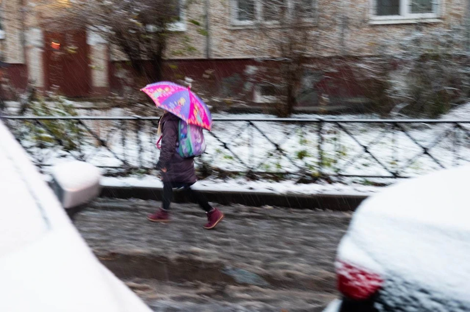 16 ноября в Ленобласти обещают снег.