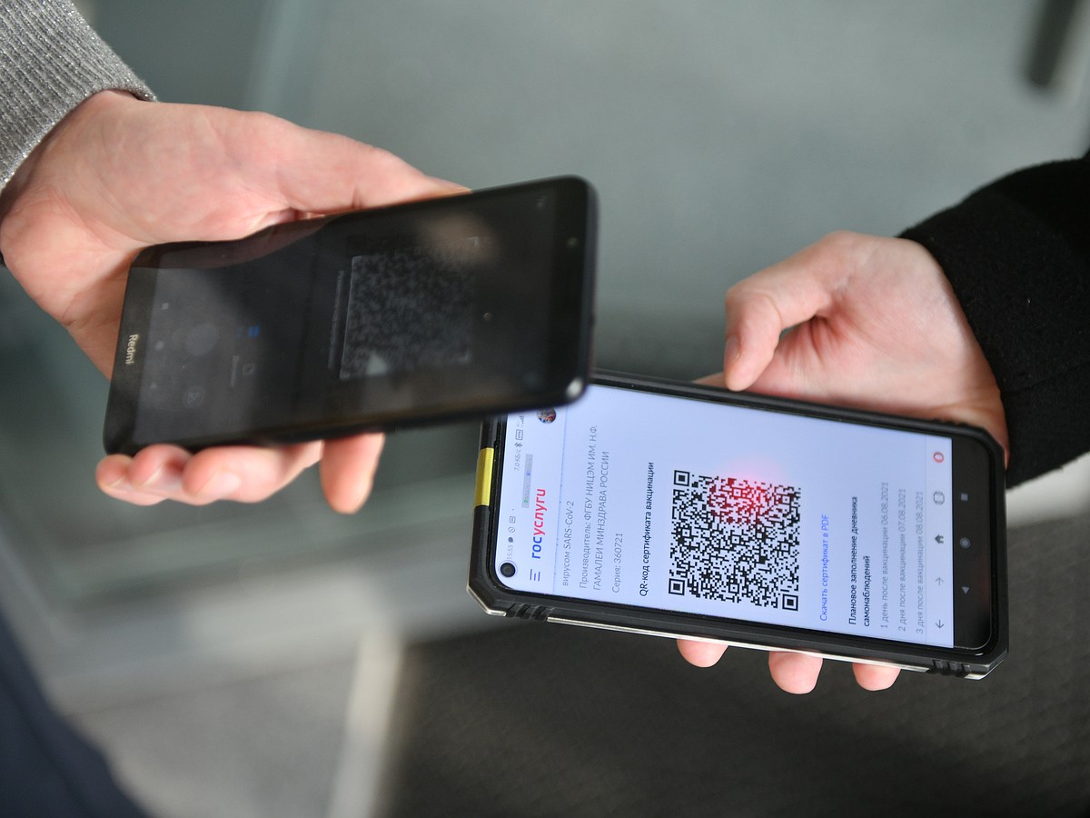 Водительские права в виде QR-кода в телефоне: как в Кузбассе работает  нововведение - KP.RU