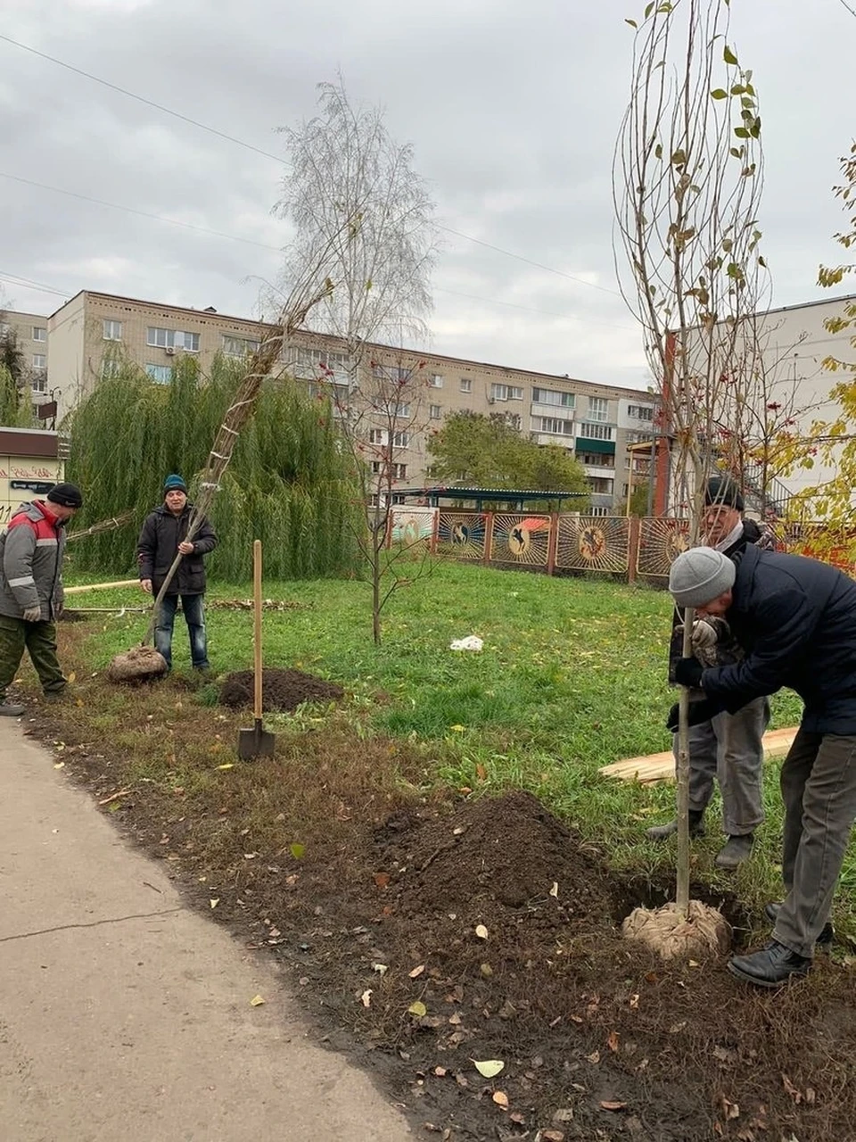 В Тамбове планируют высадить еще 2 тысячи деревьев и 5 тысяч кустарников.