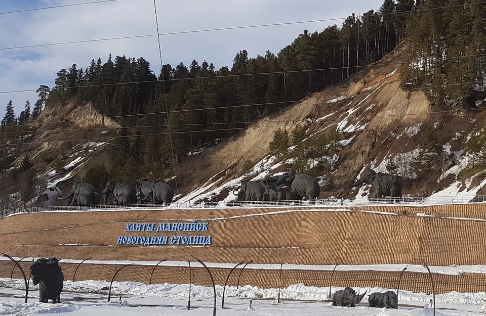 Фото: городской информационный центр