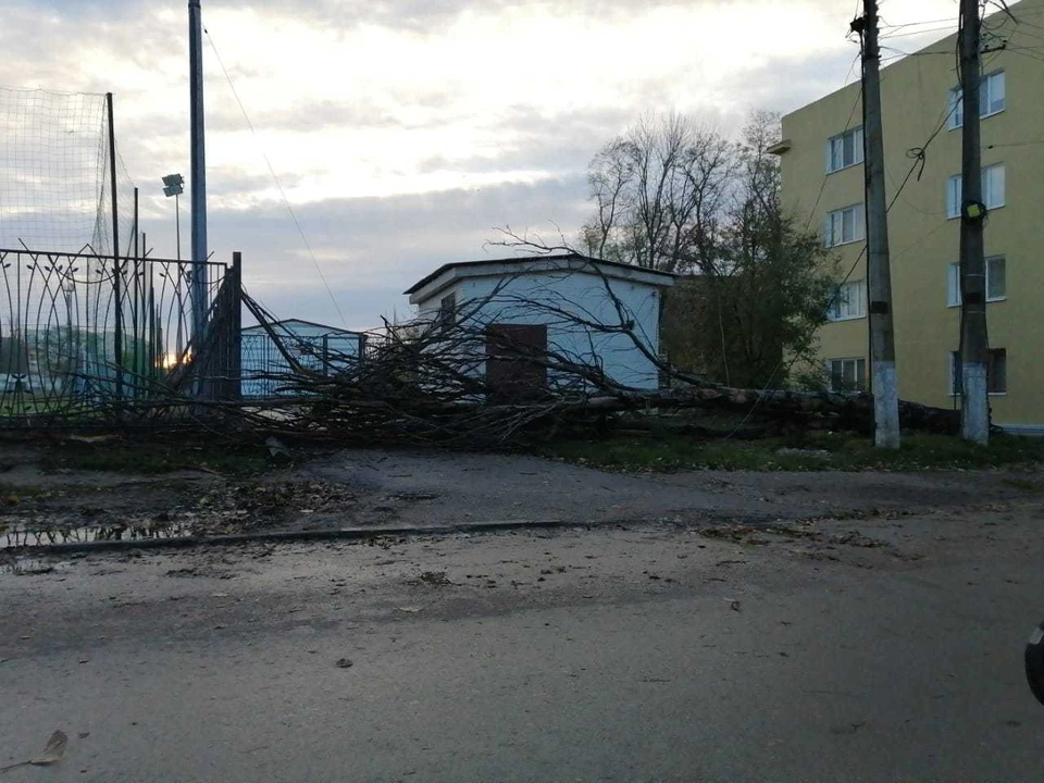 Фото: Святослав Брусаков/Tg