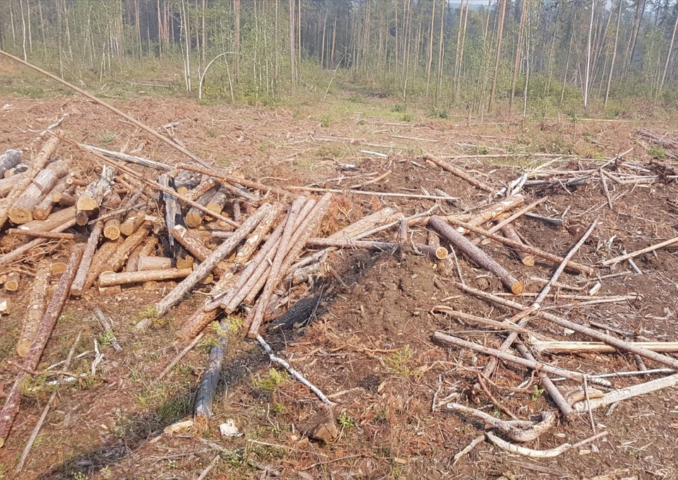 Дело было в октябре 2022 года.