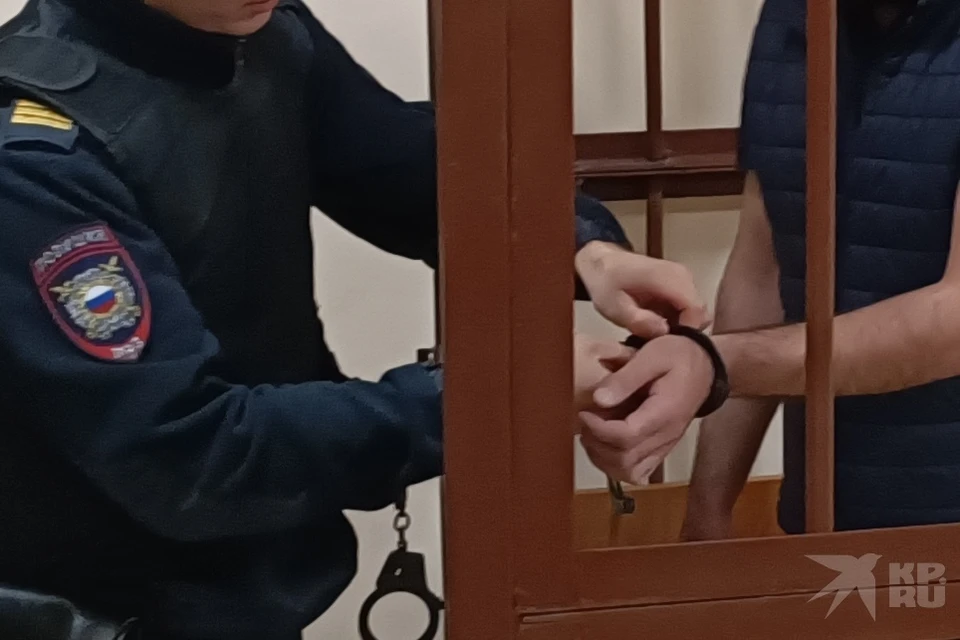 Дело рязанского грабителя-педофила передали в суд.
