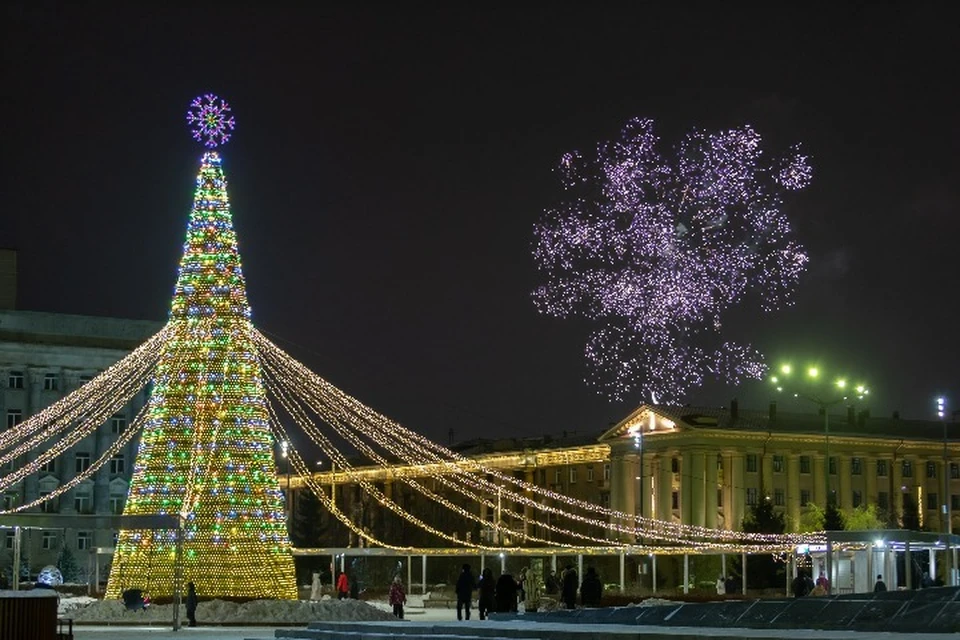 В Ярославле пройдут традиционные губернаторские новогодние елки