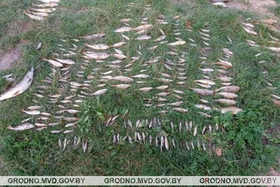 От халатности 52-летнего мастера пострадал водоем. Фото: УВД Гродненского облисполкома