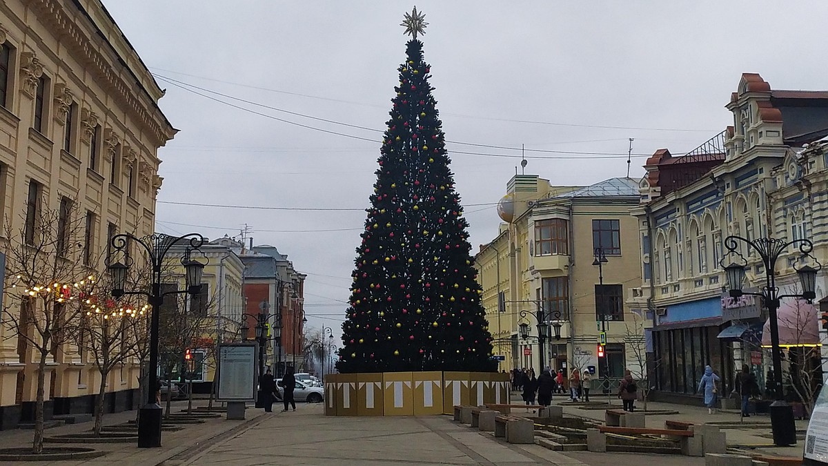 Высокую новогоднюю елку установили на Ленинградке в Самаре - KP.RU