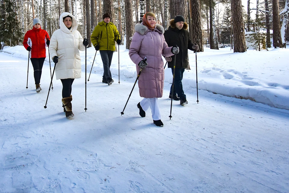 Занятия северной ходьбой под Новосибирском.