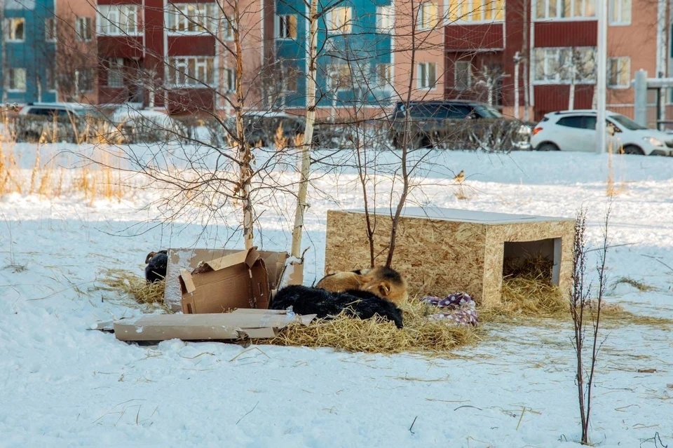 Фото: администрация Сургута