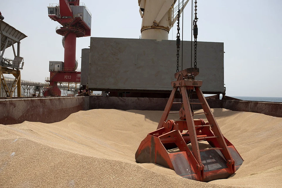 Первое судно с зерном в рамках программы Grain From Ukraine добралось до Эфиопии.