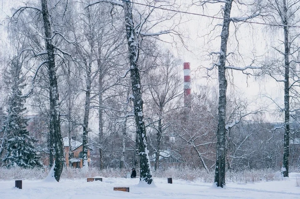 Прогноз погоды в Ижевске с 5 по 11 декабря