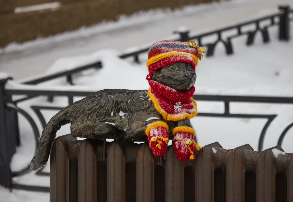 Холодно, нет снегопада, и дымка в воздухе - в Новосибирске сохраняется прежняя погода.