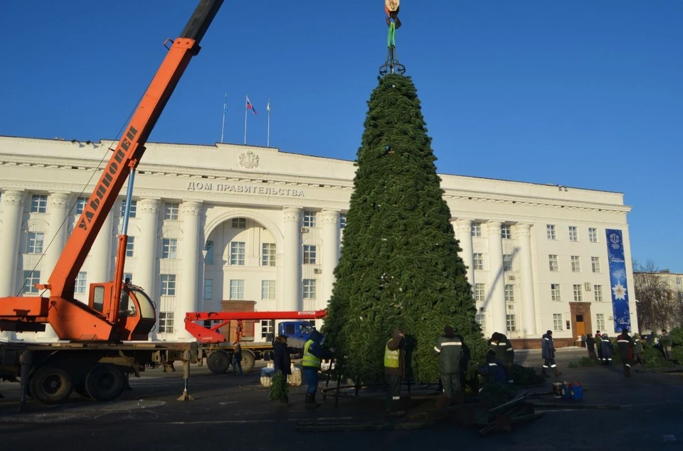 На Соборной площади Ульяновска 7 декабря собирают главную елку региона