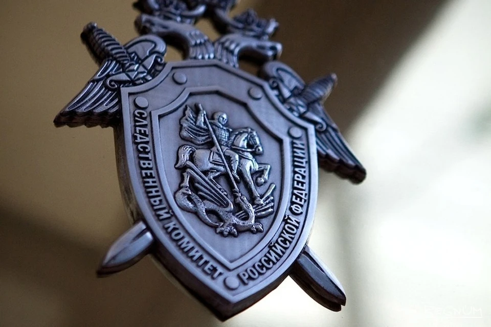 иллюстрация СУ СКР по Владимирской области