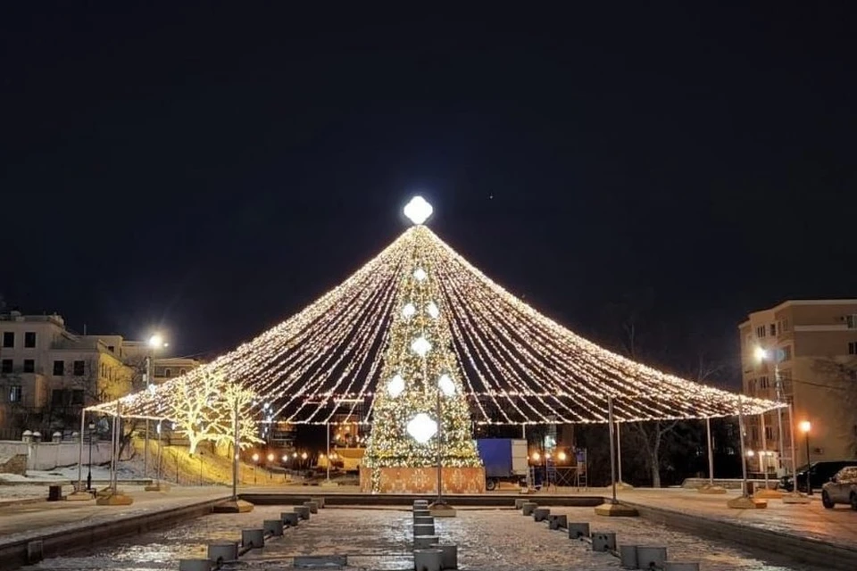 На Лыбедском бульваре в Рязани установили елку со светодиодным шатром