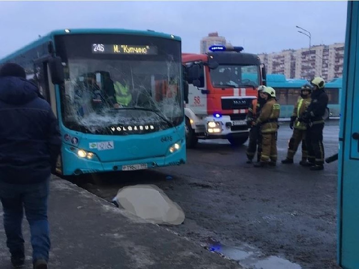 Полиция начала проверку ДТП в Купчино, где автобус задавил своего же  водителя - KP.RU