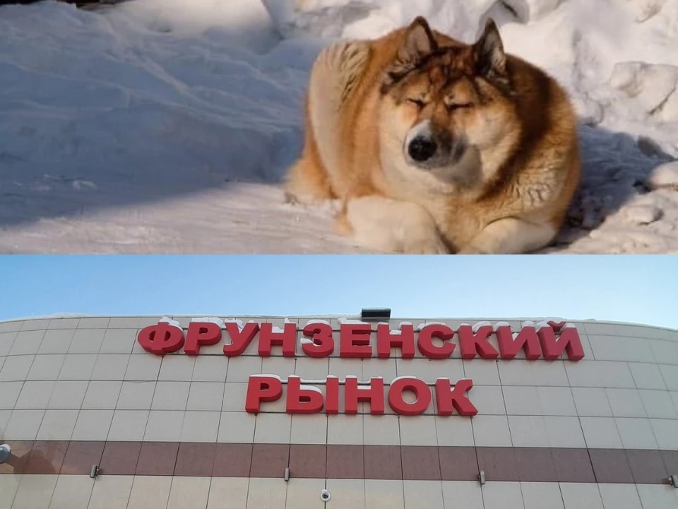 Фото: Регион-70 Томск/Алёна Голева